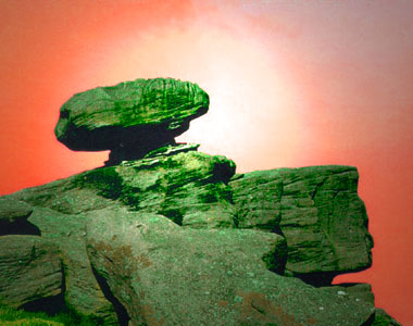 Merlinstab und Zirbelzweig